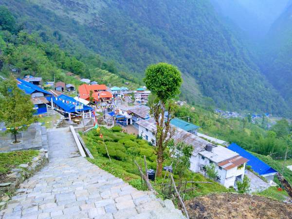 f:id:My-my-life:20200309160913j:plain