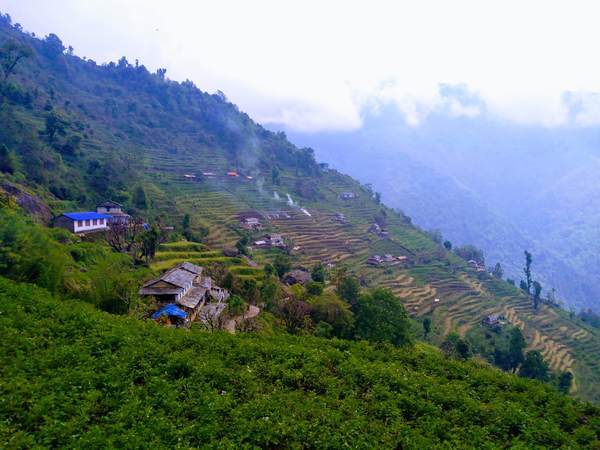 f:id:My-my-life:20200309160944j:plain