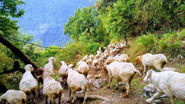 f:id:My-my-life:20200309161028j:plain