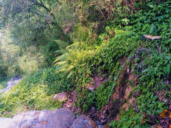 f:id:My-my-life:20200309161052j:plain