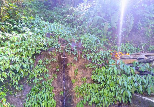 f:id:My-my-life:20200309161104j:plain