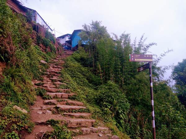 f:id:My-my-life:20200309161808j:plain