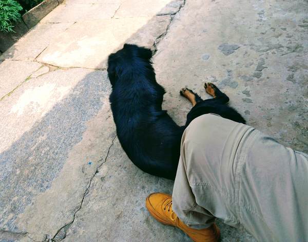 f:id:My-my-life:20200309161841j:plain