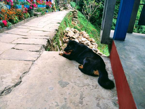 f:id:My-my-life:20200309161900j:plain