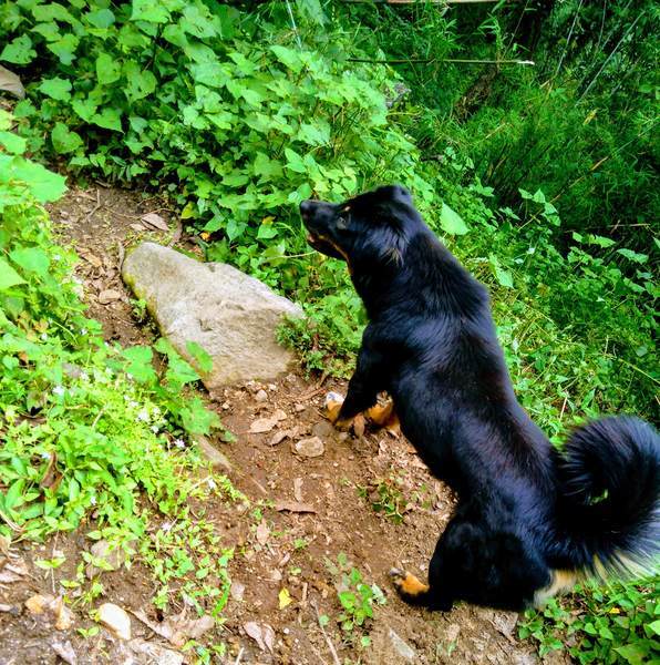 f:id:My-my-life:20200309161937j:plain