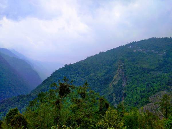 f:id:My-my-life:20200309161948j:plain