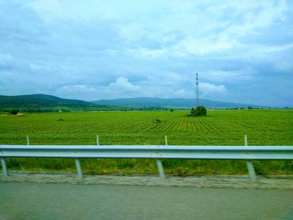 リラ修道院までの移動風景