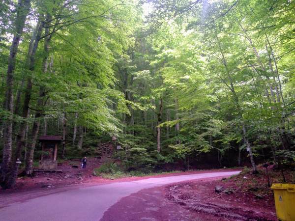 ピクニックコースの出発地点