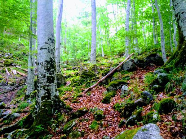 リルスキーの洞窟までの道中