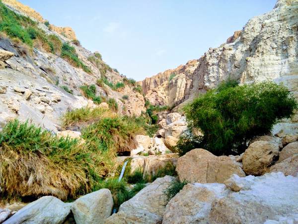 エン・ゲディ国立公園の中腹