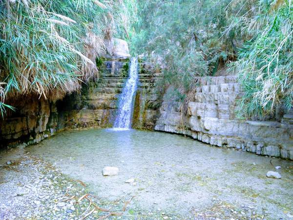 エン・ゲディ国立公園にある小さな滝