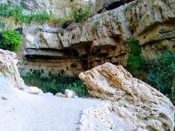 エン・ゲディ国立公園のキャニオン