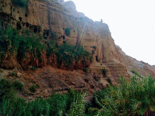 エン・ゲディ国立公園の丘陵