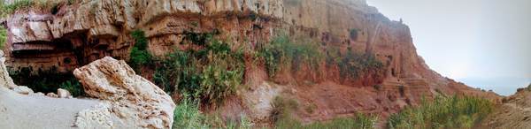 エン・ゲディ国立公園のパノラマ写真