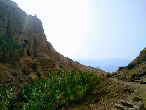 エン・ゲディ国立公園から見える絶景