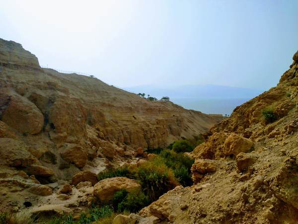 エン・ゲディ国立公園の雄大な大地