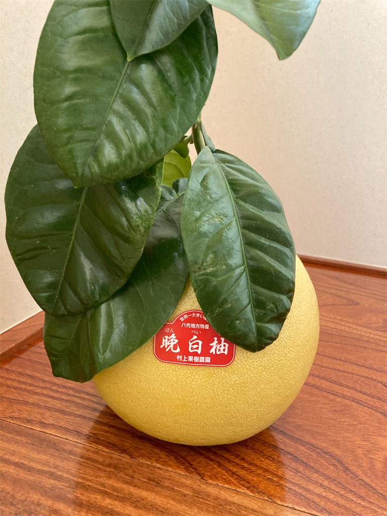 晩白柚とは 食の人気 最新記事を集めました はてな