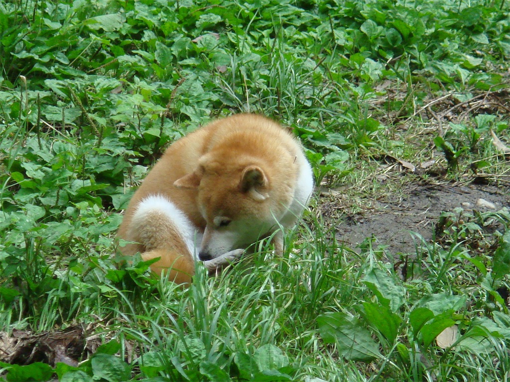 f:id:MyStory:20201225113415j:image