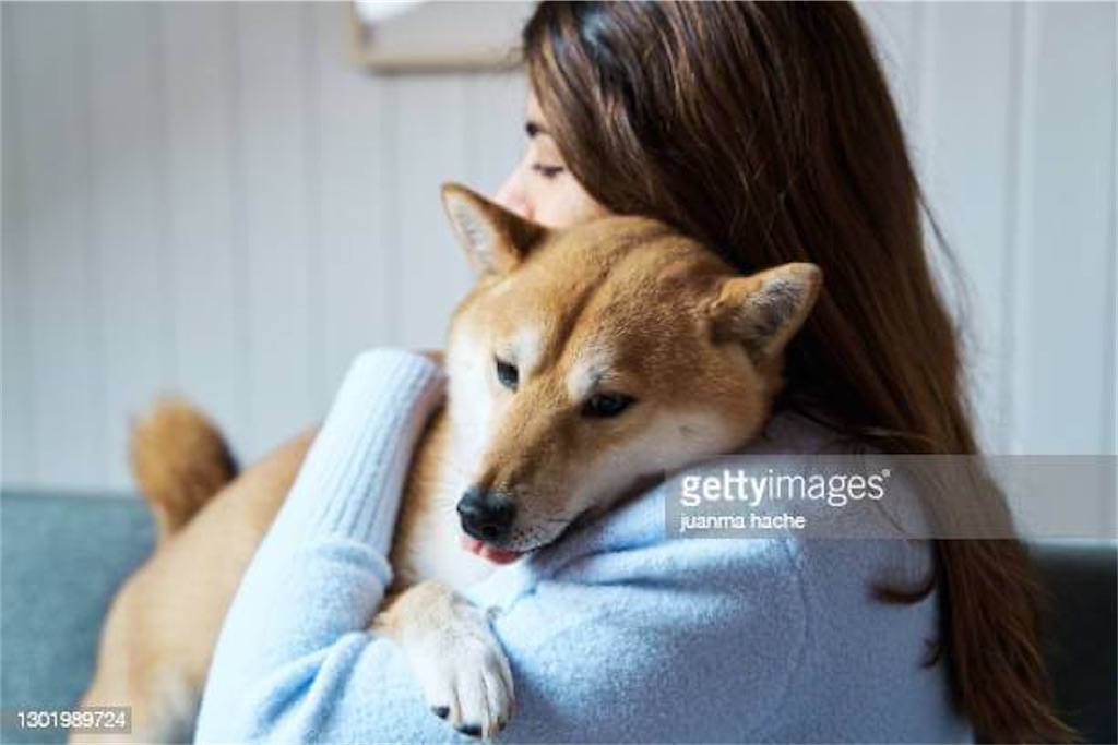 f:id:MyStory:20211105213822j:image