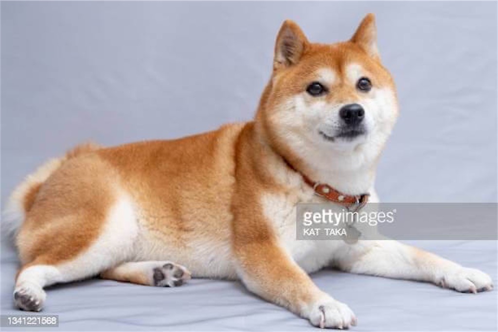 f:id:MyStory:20211105215219j:image