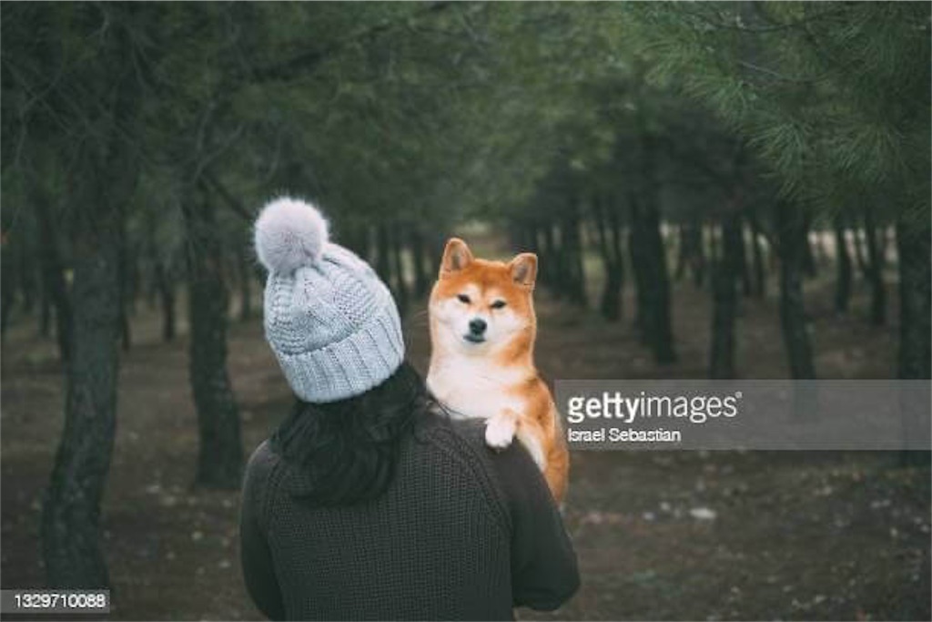 f:id:MyStory:20211105215340j:image