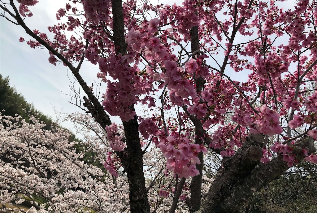 f:id:MyStory:20220403215332j:image f:id:MyStory:20220403215332j:image