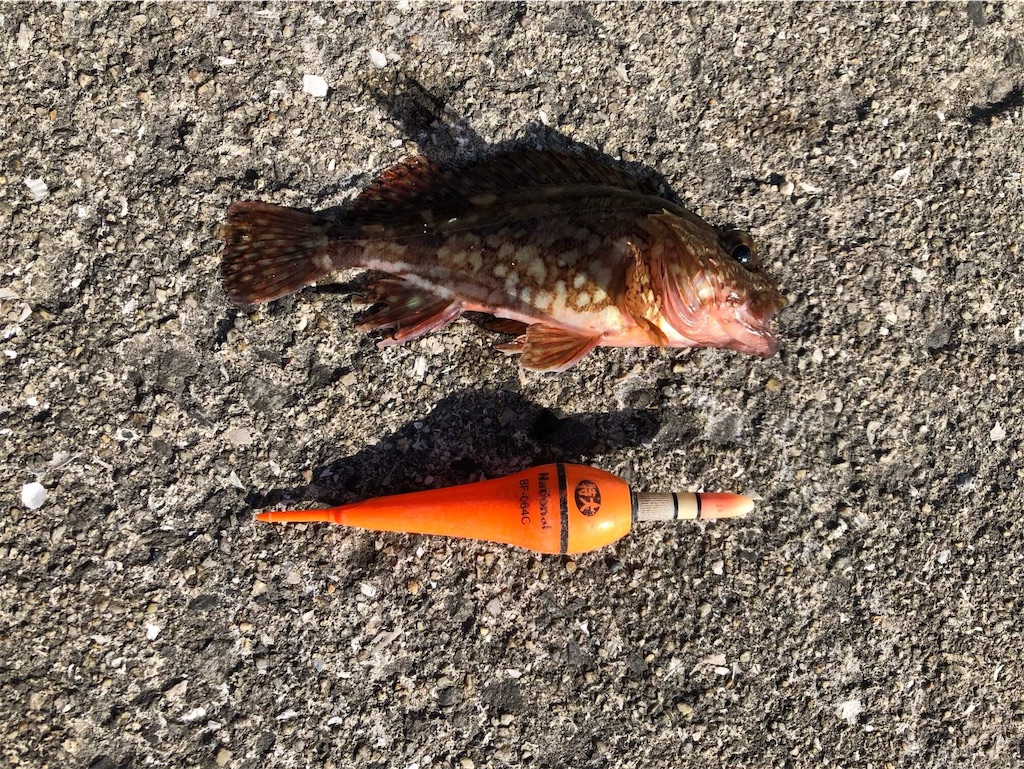 f:id:MyStory:20230106091059j:image