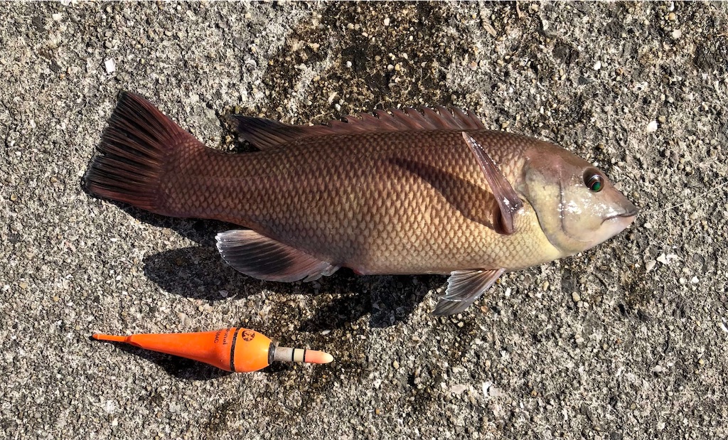 f:id:MyStory:20230106091134j:image