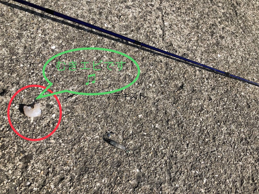 f:id:MyStory:20230106100707j:image