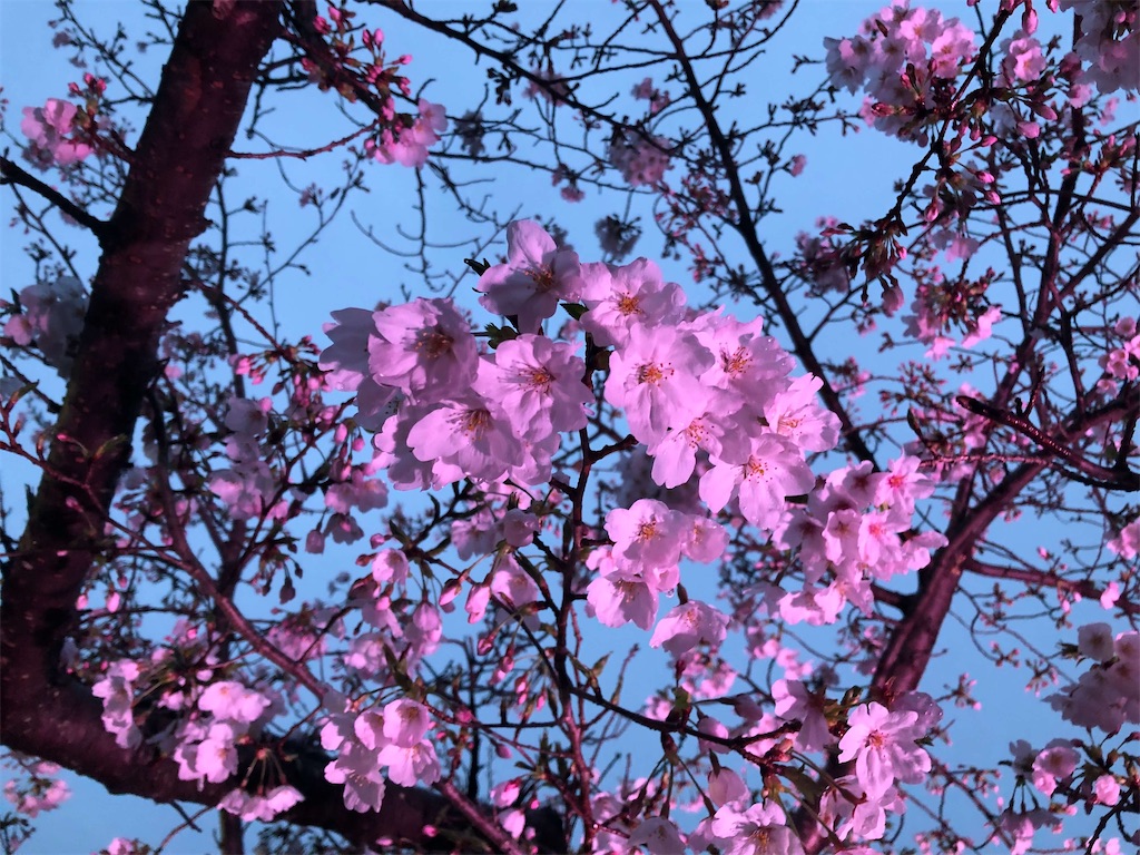 f:id:MyStory:20240404093923j:image