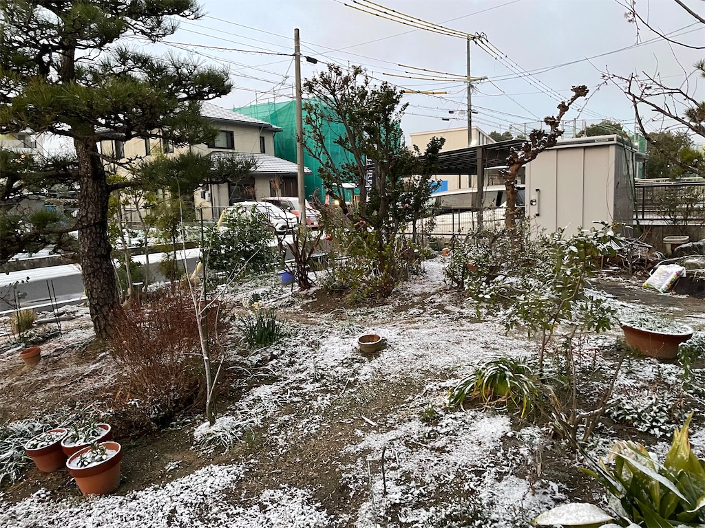 庭の積雪