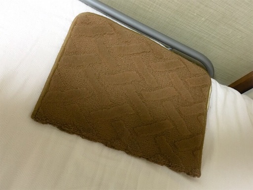 f:id:MyouGirl:20190331193312j:plain