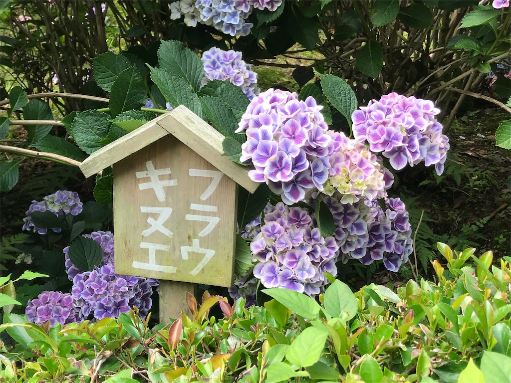 f:id:Myuu1212:20180624152409j:image