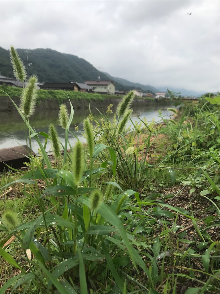 f:id:Myuu1212:20180912171937j:image