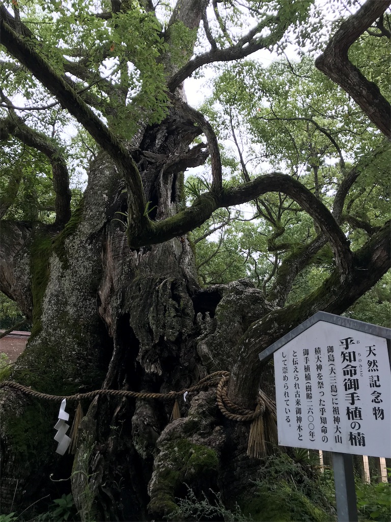 f:id:Myuu1212:20180916173215j:image