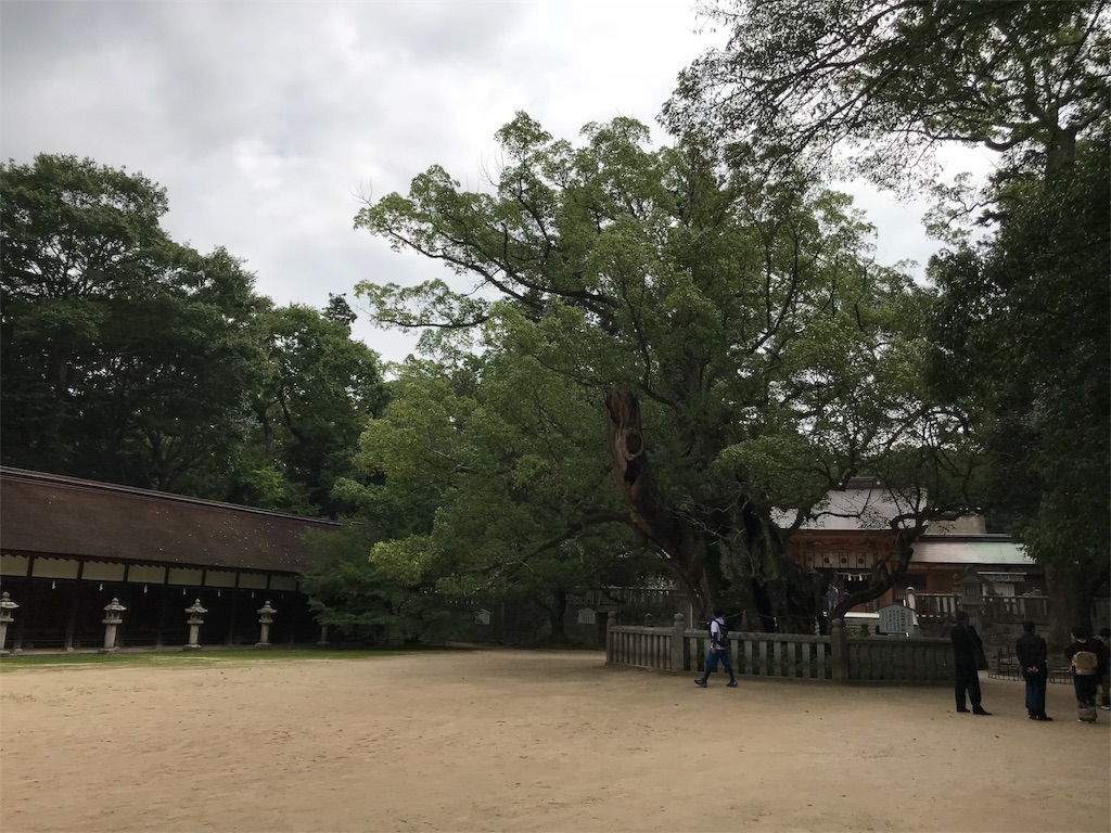 f:id:Myuu1212:20180917084944j:image