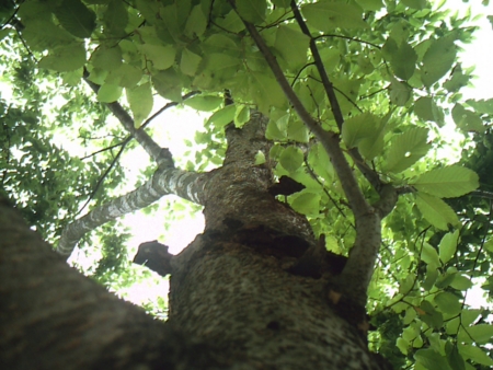f:id:N----a:20090504204142j:image f:id:N----a:20090504204142j:image