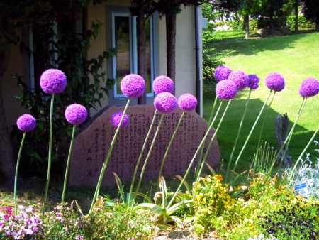 f:id:N----a:20090607191031j:image