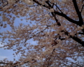 20100406135648