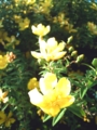 20100611183440