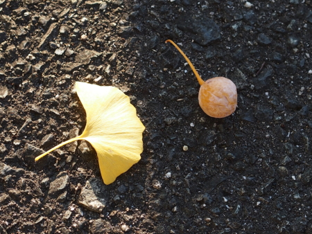 20121104224211