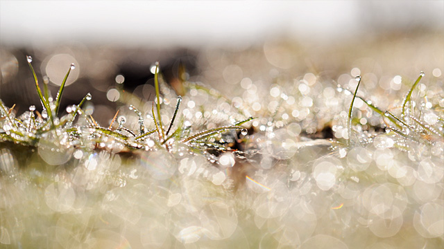f:id:N-Tanabe:20111010043434j:image:w420