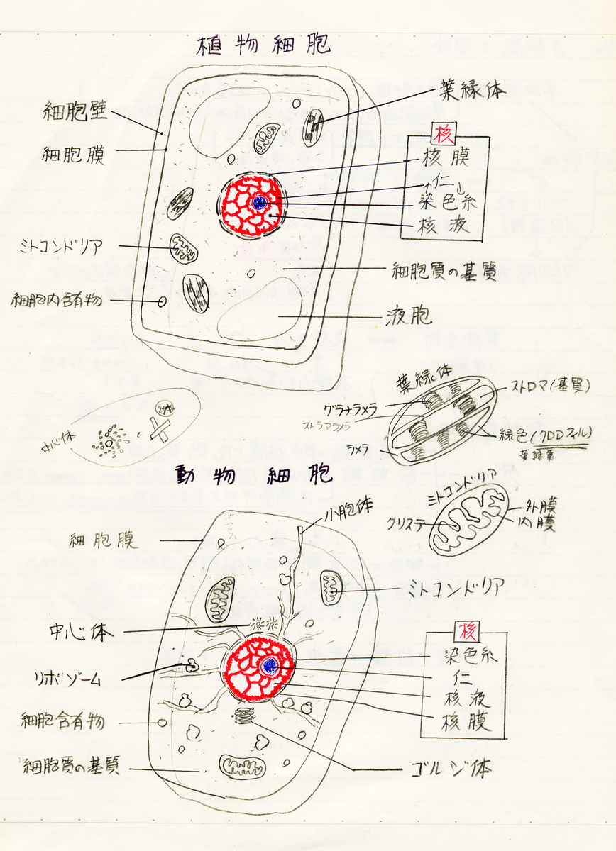 生命 - 田名部伸紀建築設計事務所, image size:868x1200