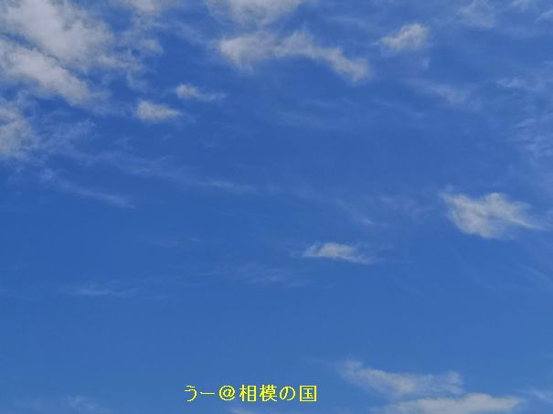 f:id:N0205128:20200702114924j:plain f:id:N0205128:20200702114924j:plain