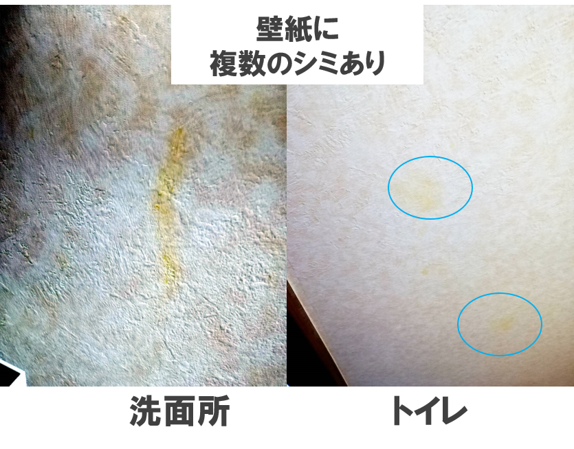 引越失敗 カビハウスを避けるポイント 独学からソフトウェア技術者のブログ
