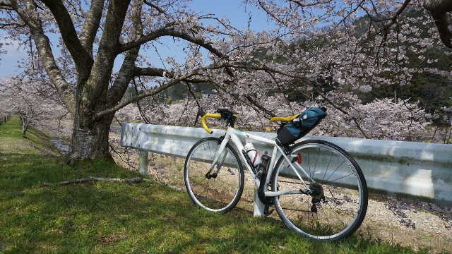 f:id:NACHUN:20190410210753j:image f:id:NACHUN:20190410210753j:image