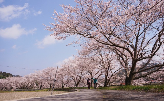 f:id:NACHUN:20190410210917j:image f:id:NACHUN:20190410210917j:image
