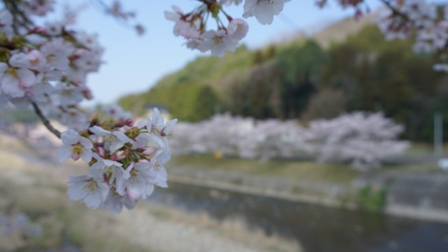 f:id:NACHUN:20190410211030j:image f:id:NACHUN:20190410211030j:image