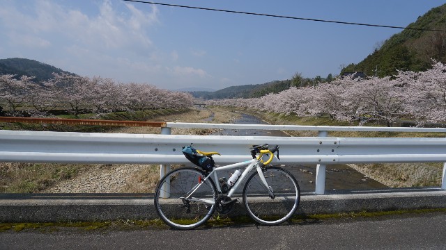 f:id:NACHUN:20190410211130j:image f:id:NACHUN:20190410211130j:image