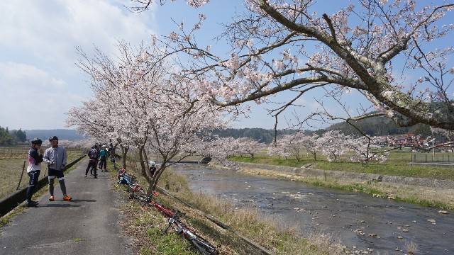f:id:NACHUN:20190410211337j:image f:id:NACHUN:20190410211337j:image